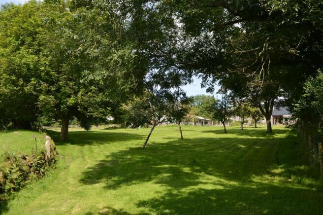 Far Corner Of Garden.JPG