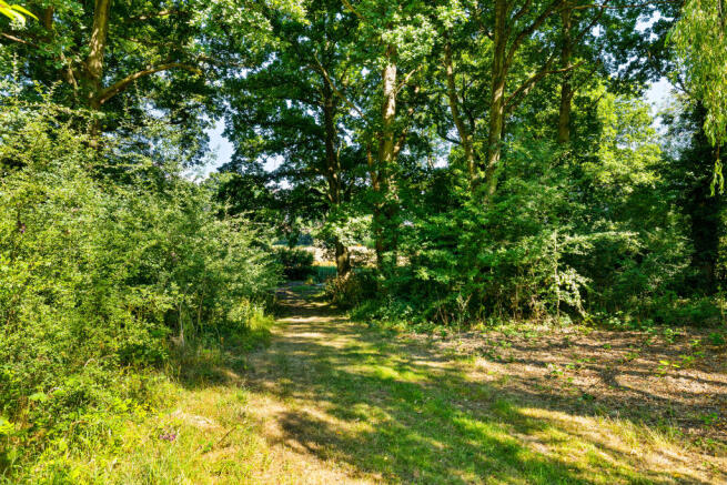 ground image (10).jpg