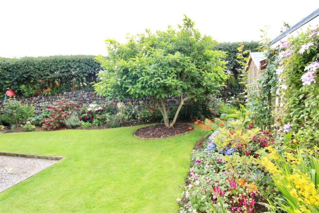 Garden 4.JPG