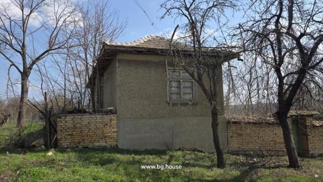 Side perspective of the house showing a tiled roof, a window, and a brick fence with leafless trees around.