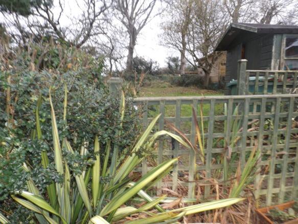 back garden