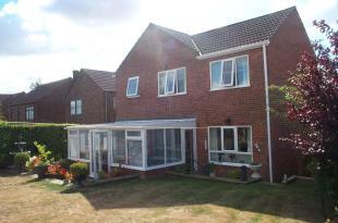 Rear of house