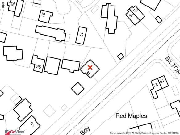 Local Information - 