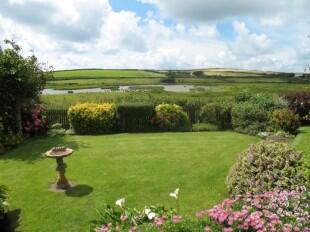 Garden and View