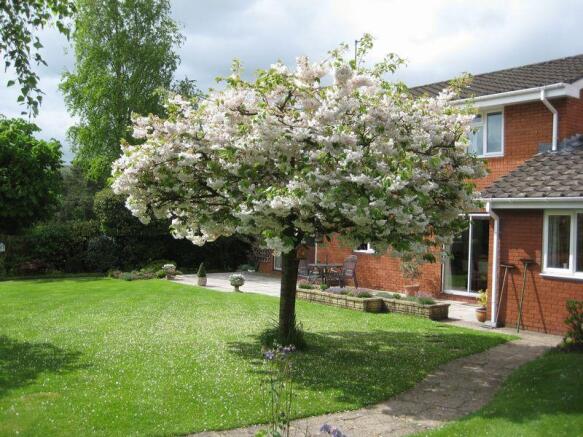 Rear garden