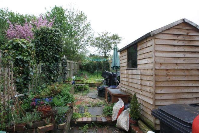 Photo 11