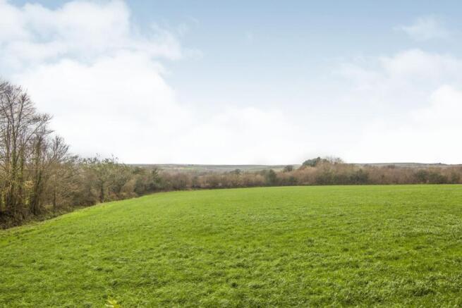 Fields View At Front