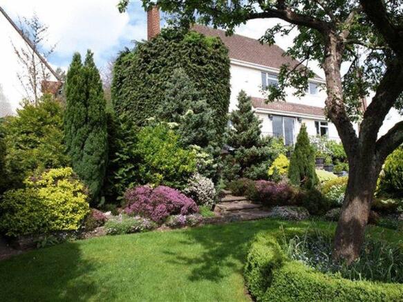 Rear Gardens