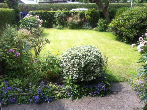Photo 11