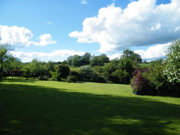 new garden 1.JPG