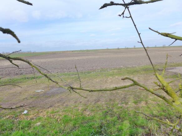 FIELD VIEWS