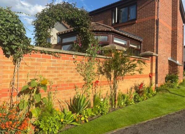 Outside flowers.jpeg