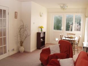Lounge / Dining Room