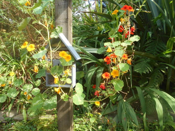 Photo 24