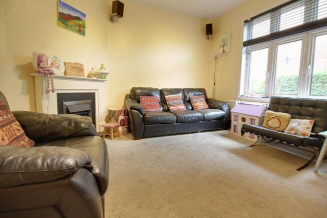 Picture 8
