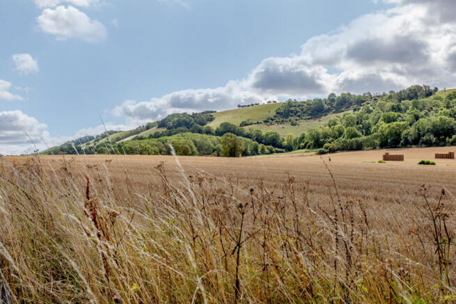 Fields 2