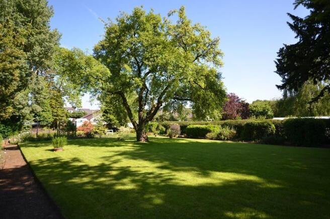 Photo11