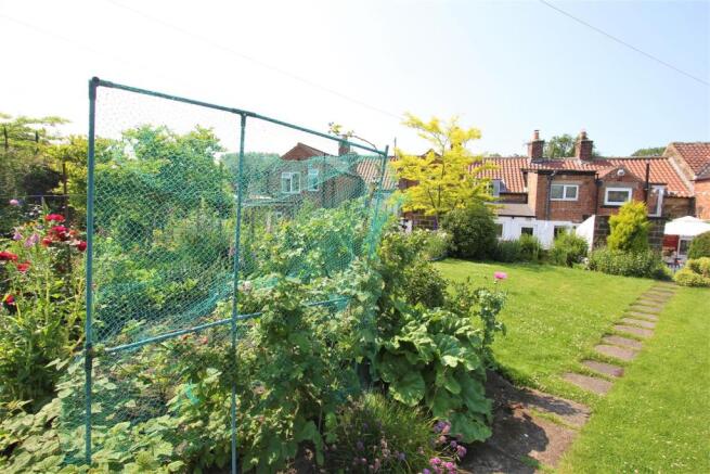 Garden 1.jpg