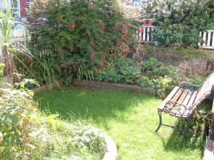 front garden
