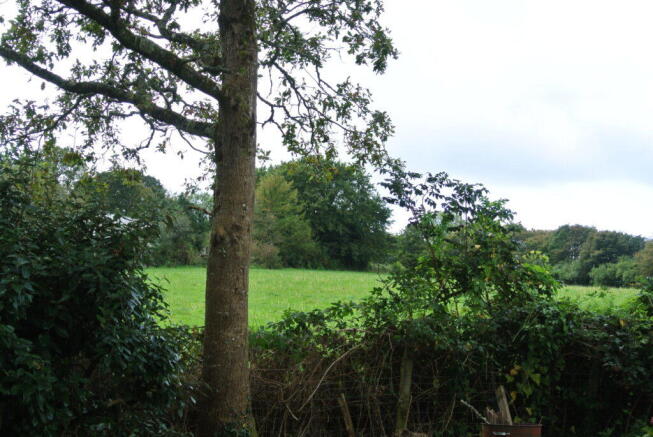Photo 31