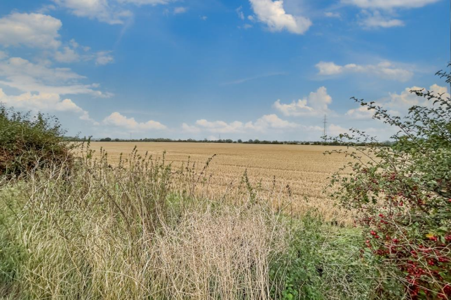 Open Fields