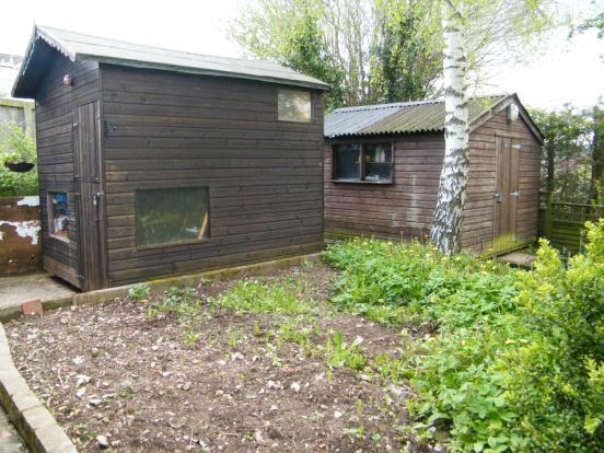 Shed