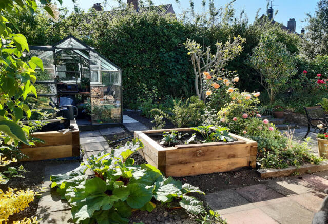Rear Garden in bloom
