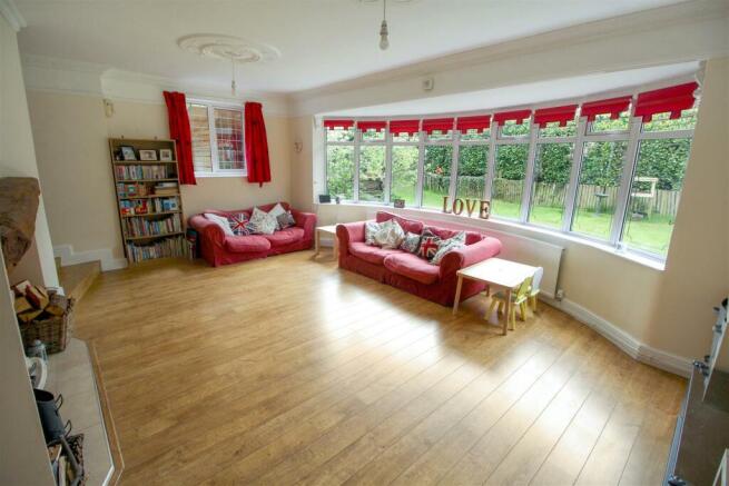 IMG_3236.jpg