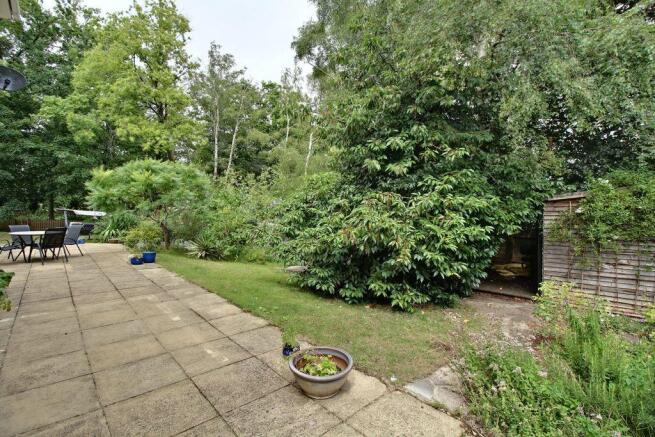 Garden at Back