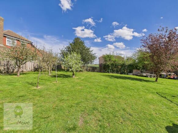 Back Garden