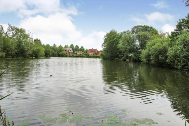 Fishing Lake