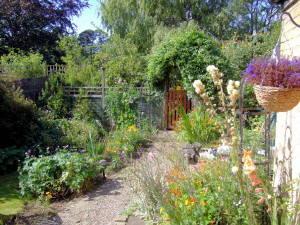 Photo 7