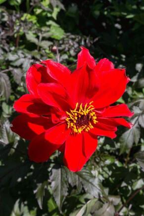 Photo 61