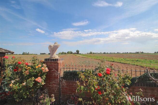 Countryside Views