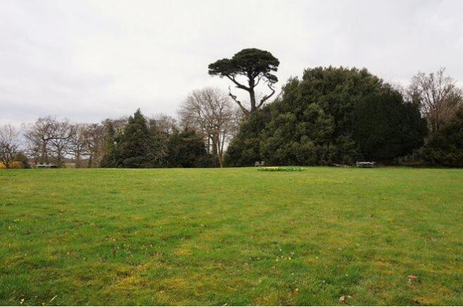 Communal Gardens