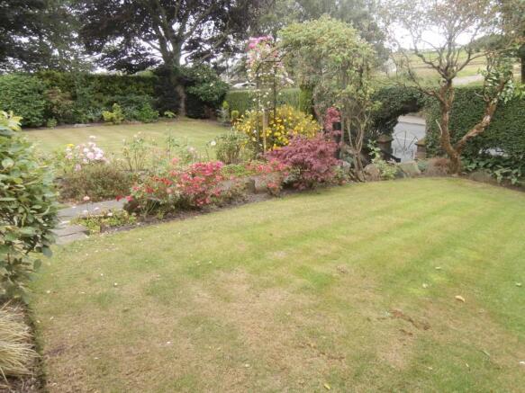 Image 13
