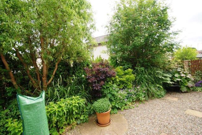 garden.JPG