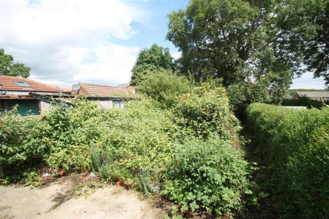 rear garden.JPG