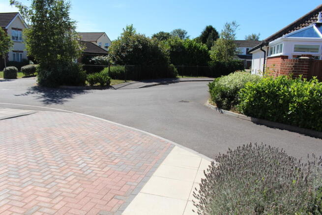 Photo 8