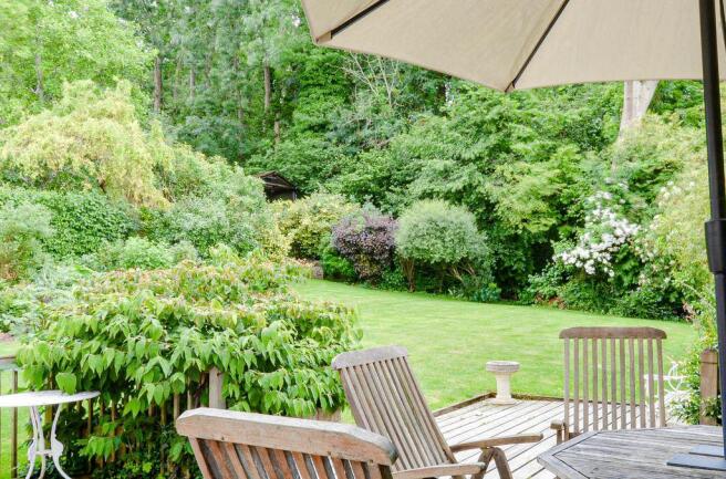 Garden at Back