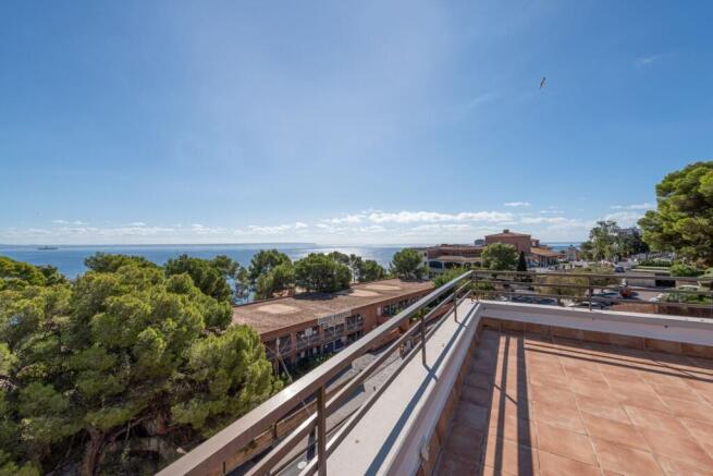 Terrace (2)