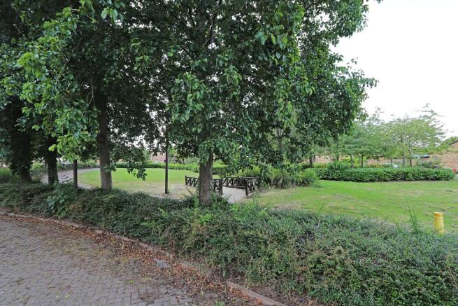 Local Park