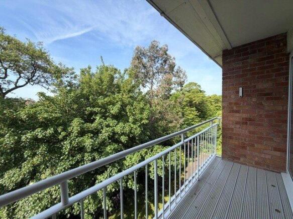 Woodland Views