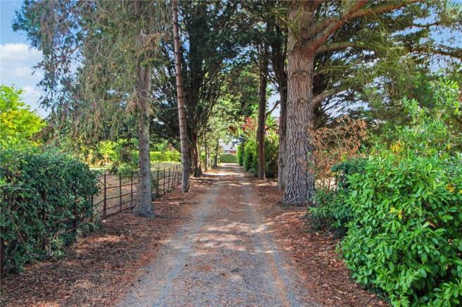 Driveway