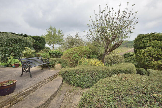 garden new_01