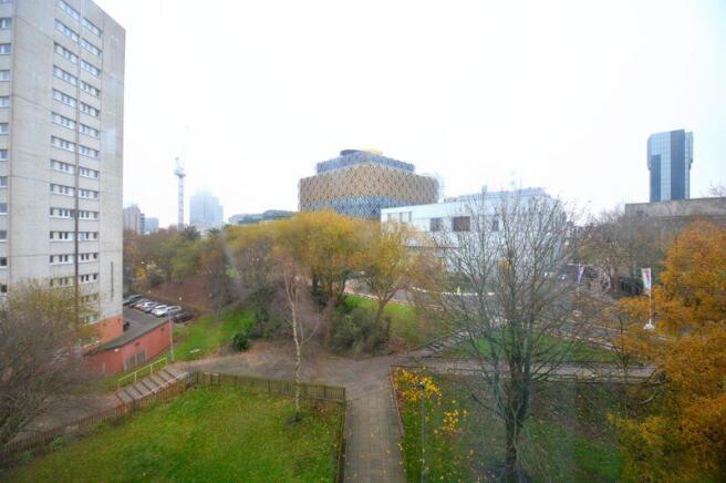 VIEW FROM THE LIVING ROOM