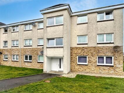 Sanderling, Lesmahagow, Lanark, South Lanarkshire, ML11