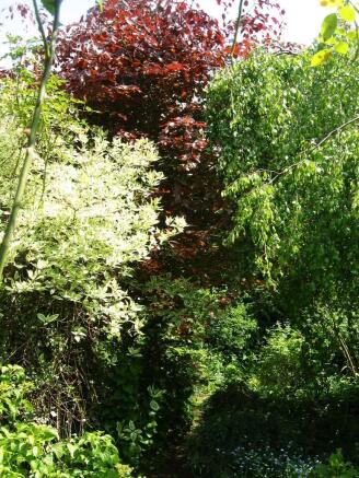 37GWS_garden12.jpg