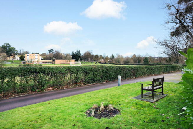 Photo 11
