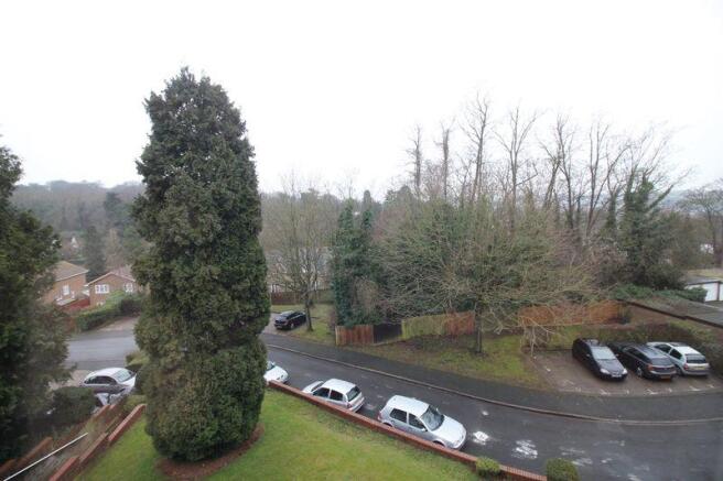 Photo 13